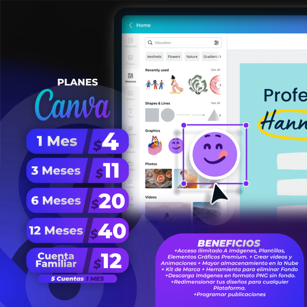 Canva Pro
