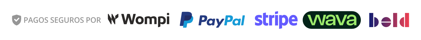 PAGO SEGURO-1